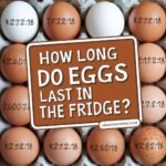 How Long Do Eggs Last in the Fridge? A Complete Guide